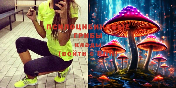 кокс Баксан
